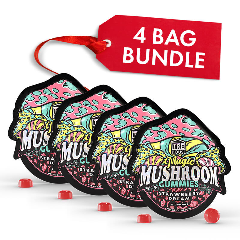 Four bags of TRE House Strawberry Dream Mushroom Gummies shown together as a 4-pack bundle.