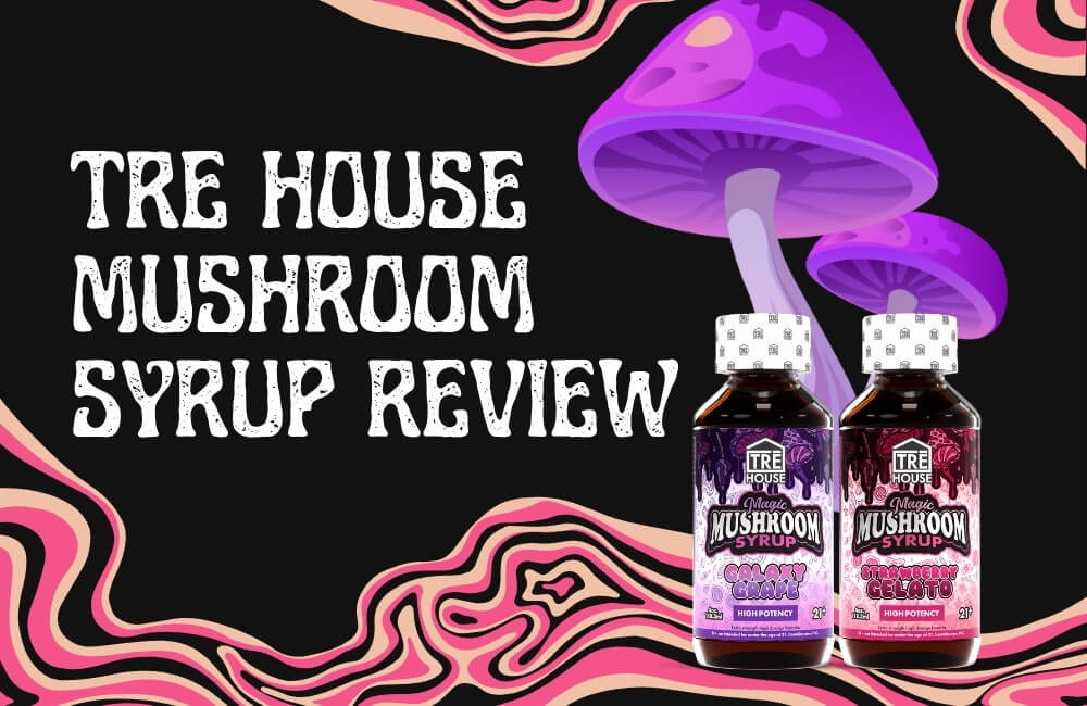 TRĒ House Magic Mushroom Syrup bottle review - legal mushroom syrup for mood enhancement
