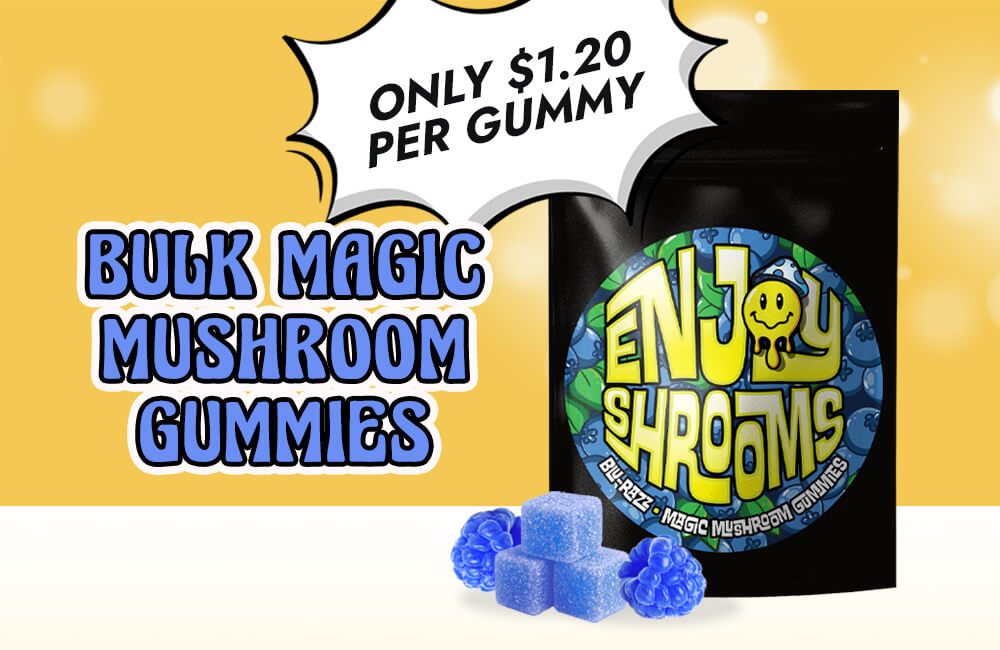 Bulk mushroom gummies for sale on EnjoyShrooms.com